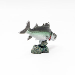 
                  
                    Load image into Gallery viewer, Japanese Sea Bass Mini Model
                  
                