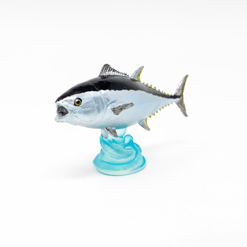 Pacific Bluefin Tuna Mini Model