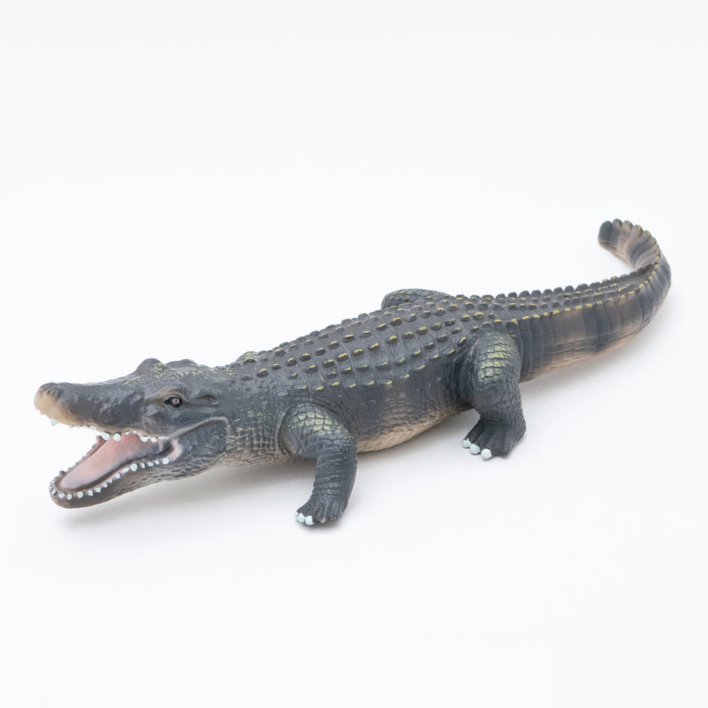 American alligator Vinyl Model