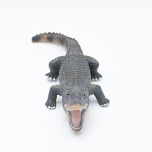 
                  
                    Load image into Gallery viewer, American alligator Vinyl Model
                  
                