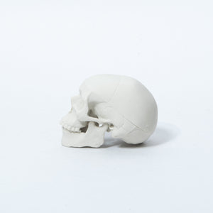 
                  
                    Load image into Gallery viewer, Hone-Keshi Human Skull White
                  
                