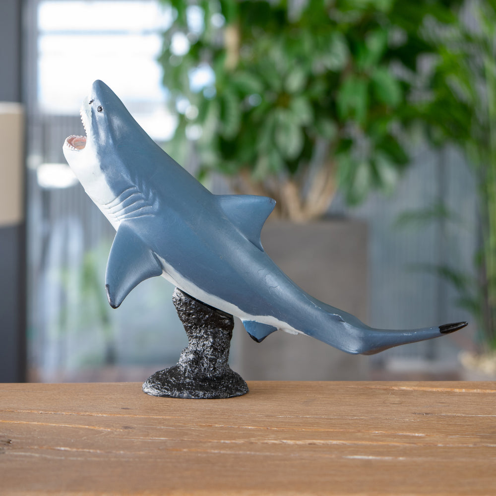
                  
                    Load image into Gallery viewer, Megalodon Soft Model
                  
                