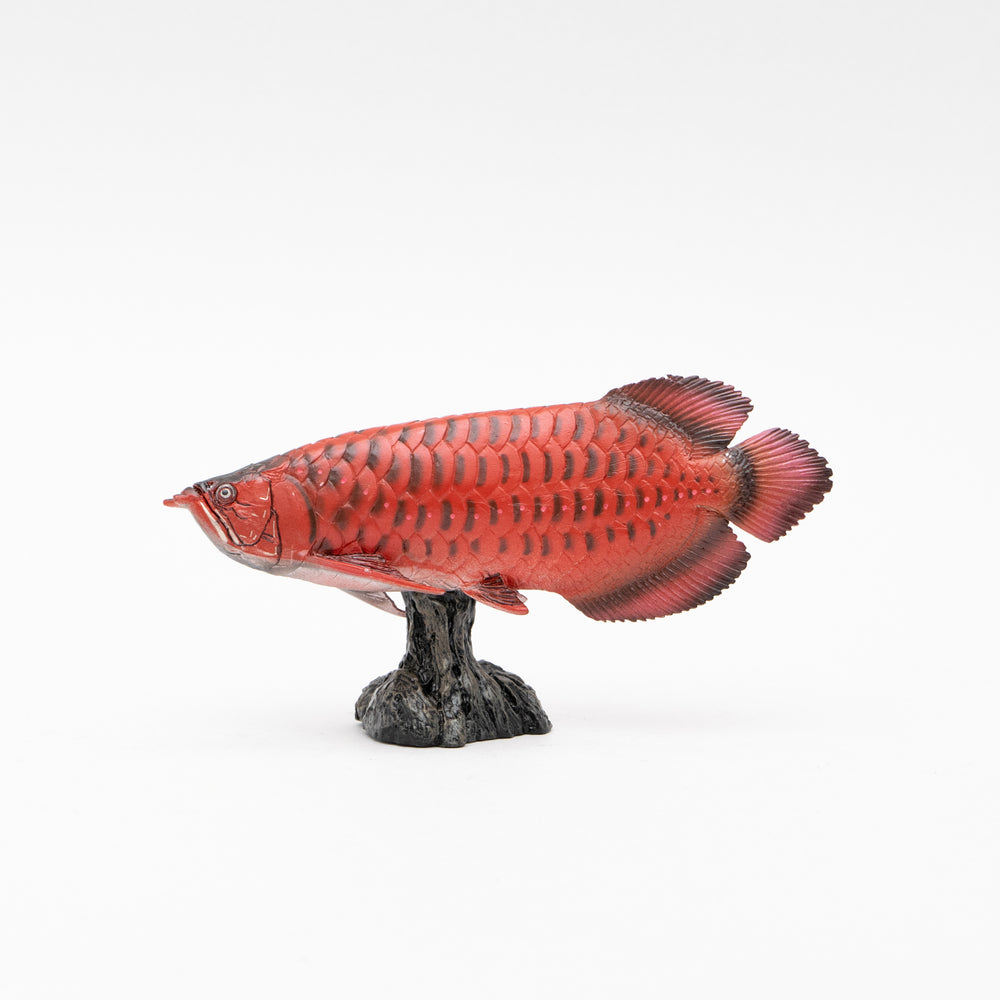 
                  
                    Load image into Gallery viewer, Red Asian Arowana Soft Model
                  
                