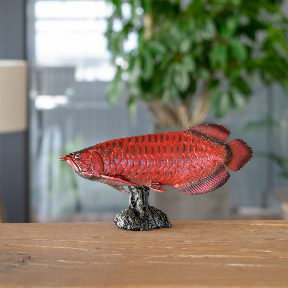 
                  
                    Load image into Gallery viewer, Red Asian Arowana Soft Model
                  
                