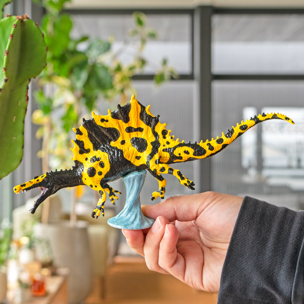 
                  
                    Load image into Gallery viewer, Triceratops Paint Model
                  
                