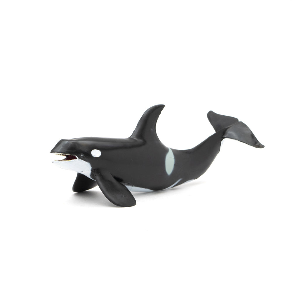 MARINE LIFE Soft Model – Favorite official website