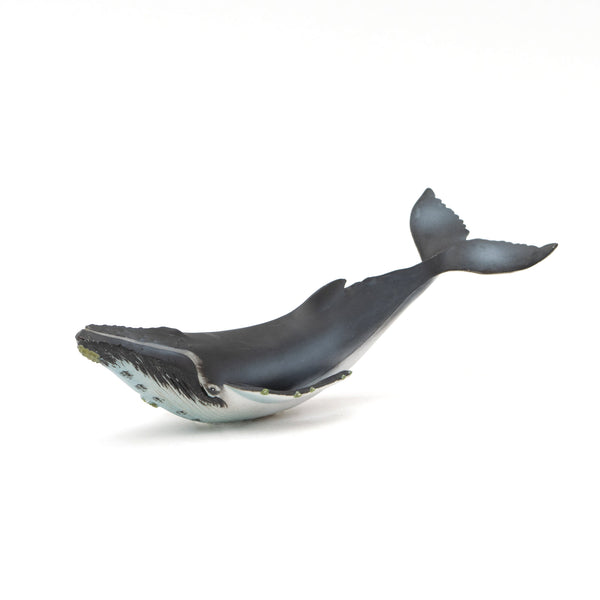 Humpback Whale Soft Model – Favorite official website