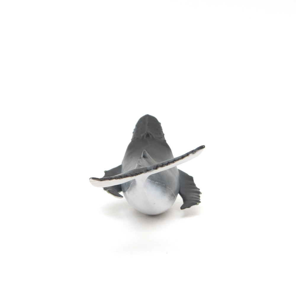 Humpback Whale Soft Model – Favorite official website