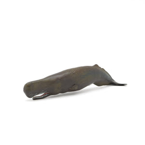 Favorite｜マッコウクジラ ソフトモデル｜ソフト素材を使用した