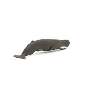 Favorite｜マッコウクジラ ソフトモデル｜ソフト素材を使用した