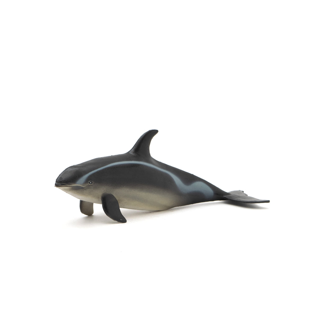 Pacific White-sided Dolphin Soft Model – Favorite official website