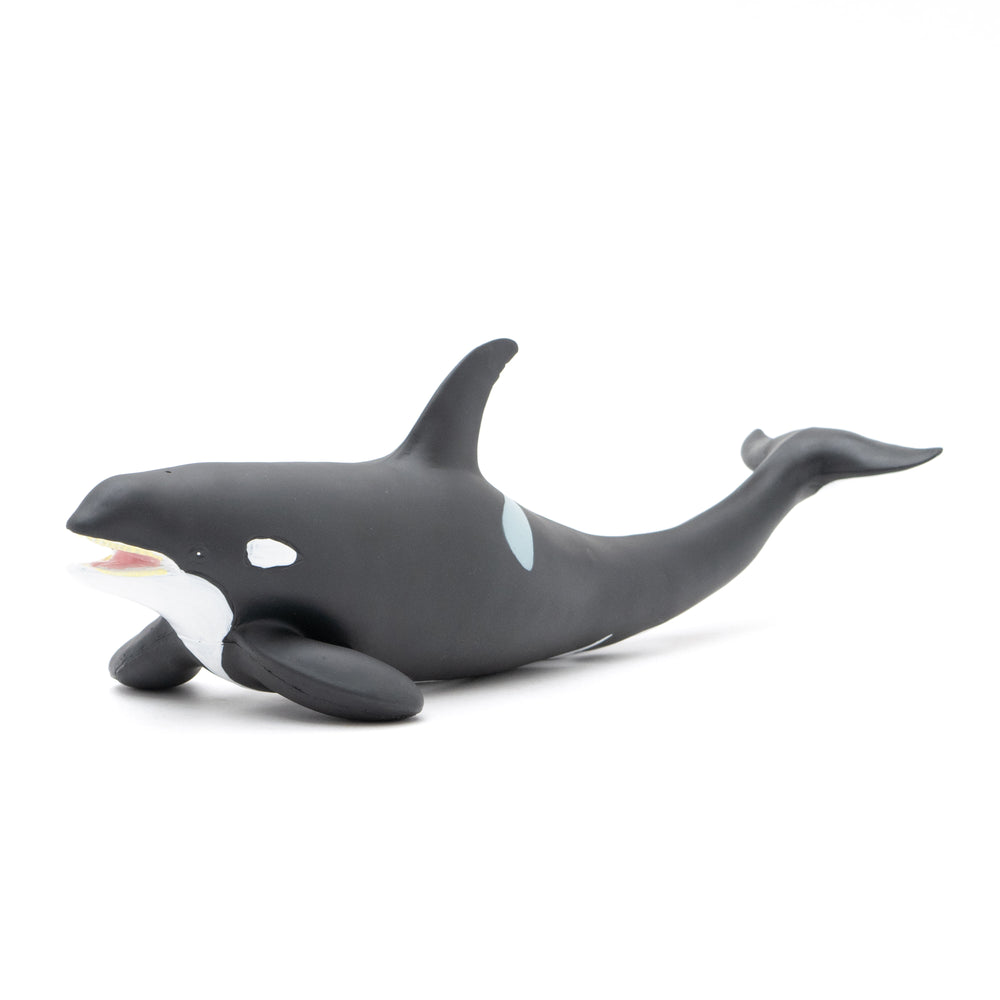 シャチの民芸品 5点セット Great Killer Whale Vinyl Model – Favorite official website