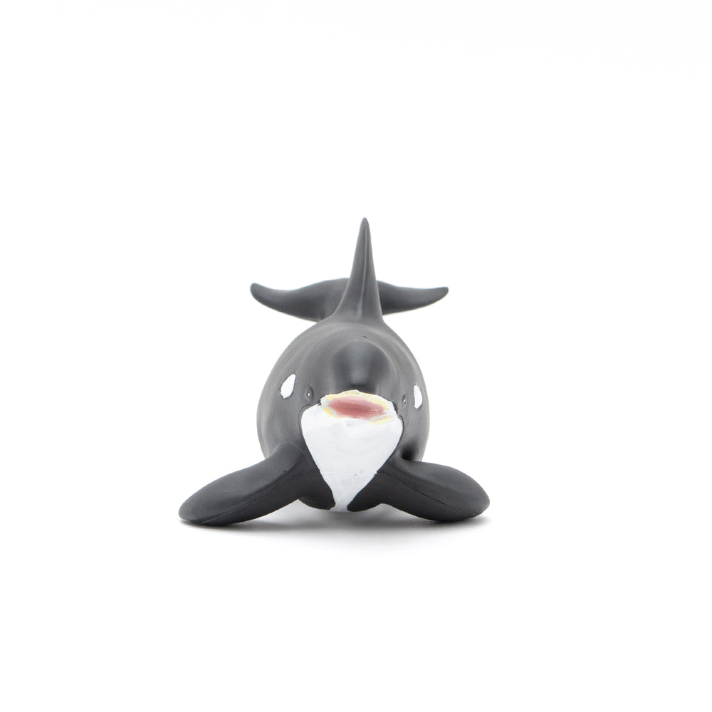 Great Killer Whale Vinyl Model – Favorite official website