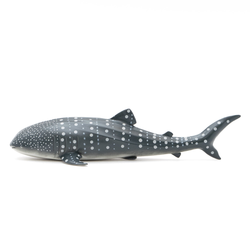 MARINE LIFE VINYL MODEL マリンライフ ビニールモデル