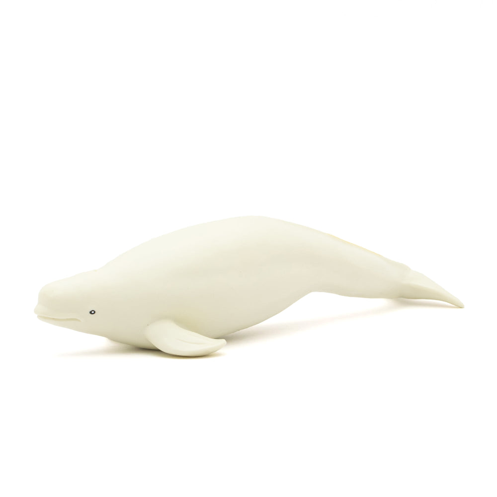 MARINE LIFE VINYL MODEL マリンライフ ビニールモデル