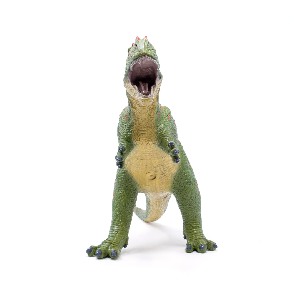 Favorite｜ギガノトサウルス ビニールモデル｜愛嬌とリアルな雰囲気が