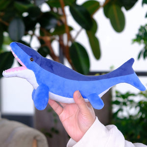 Favorite｜モササウルス スタッフドモデル｜“かわいい”だけじゃない