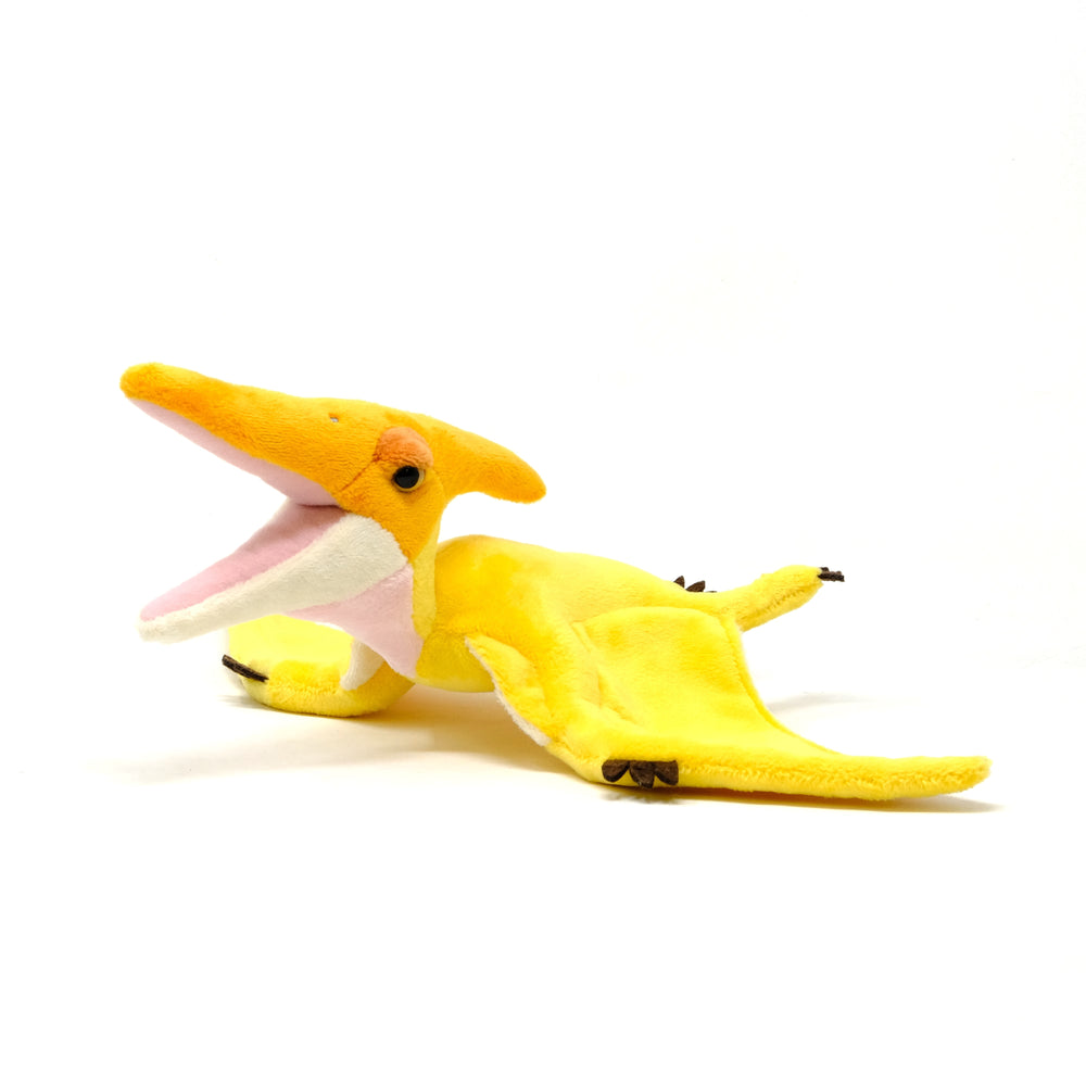 Favorite｜プテラノドン スタッフドモデル｜“かわいい”だけじゃない