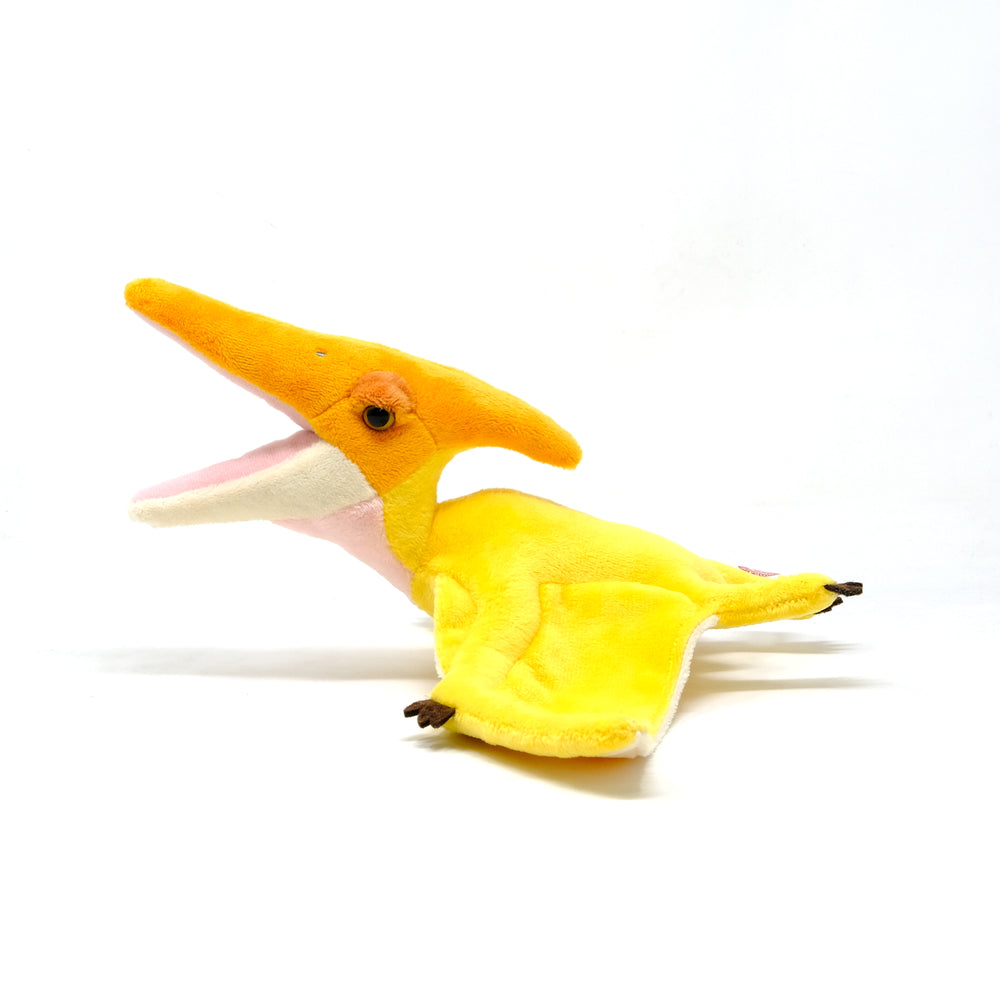 Favorite｜プテラノドン スタッフドモデル｜“かわいい”だけじゃない