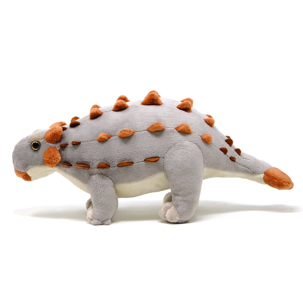 Favorite｜アンキロサウルス スタッフドモデル｜“かわいい”だけじゃ