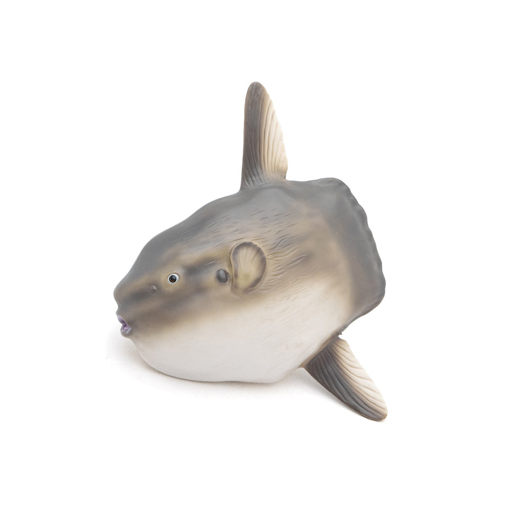 :ニウエ 5ドル プルーフ（マリンライフシリーズ：ニシキヤッコ） MARINE LIFE VINYL MODEL マリンライフ ビニールモデル