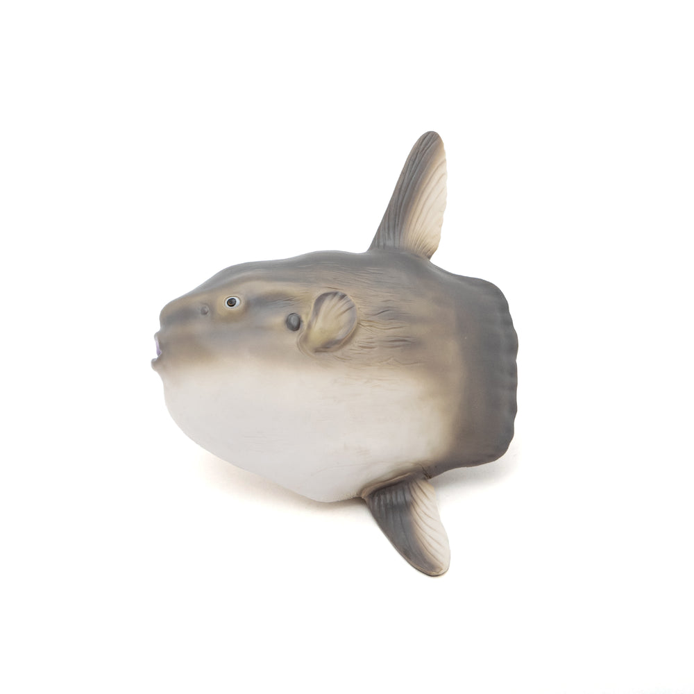 MARINE LIFE VINYL MODEL マリンライフ ビニールモデル