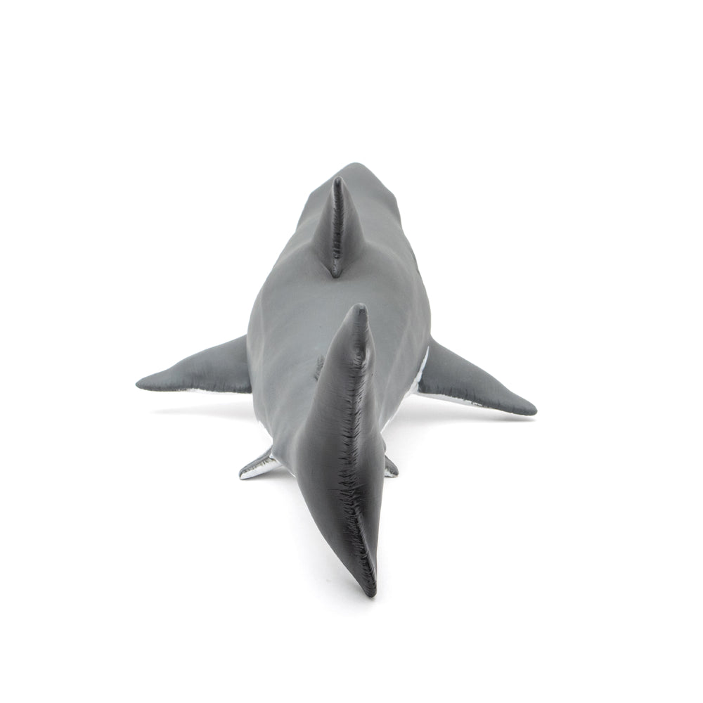 Great white shark Vinyl Model Premium Edition – Favorite official
