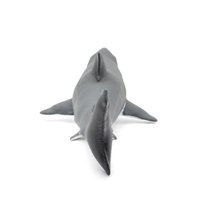 Great white shark Vinyl Model Premium Edition – Favorite official