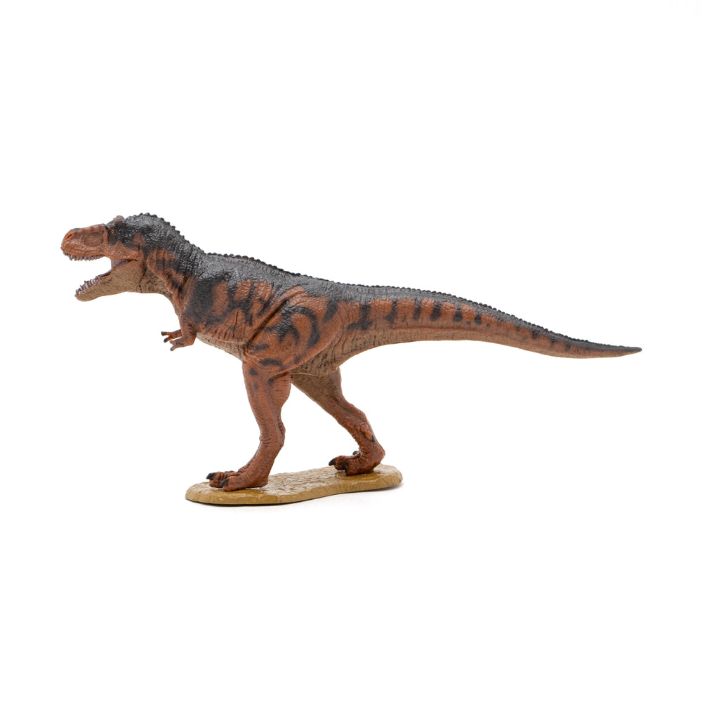 Favorite｜ティラノサウルス ソフトモデル｜ソフト素材を使用した