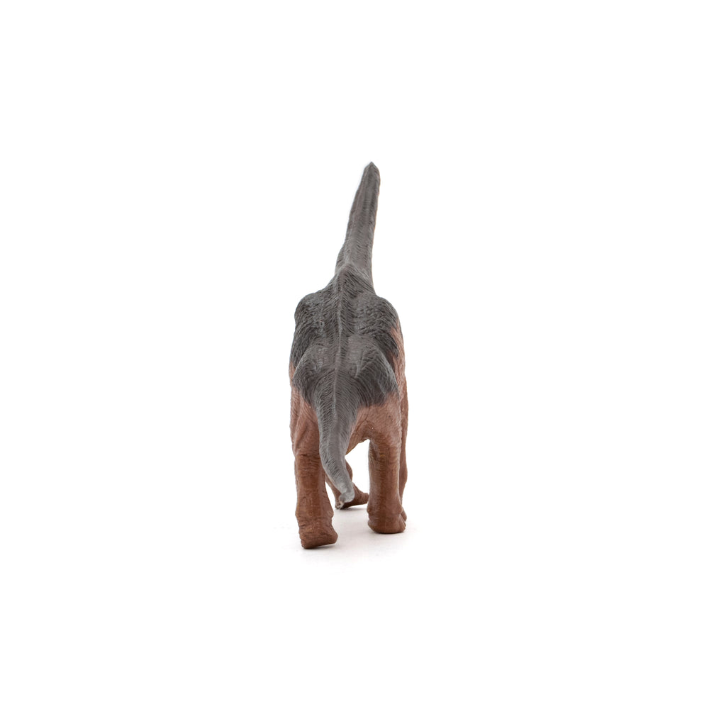Brachiosaurus Soft Model – Favorite official website