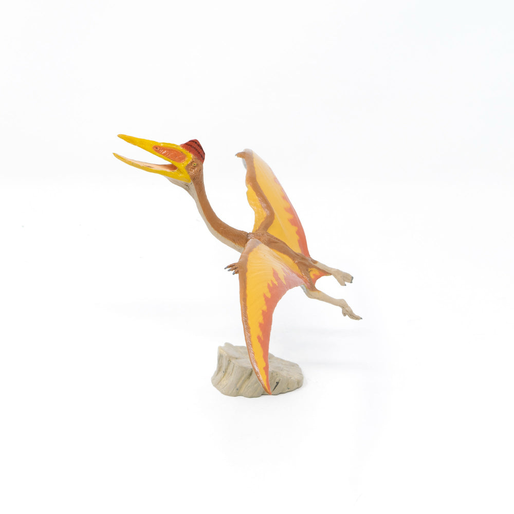 Quetzalcoatlus Soft Model – Favorite official website