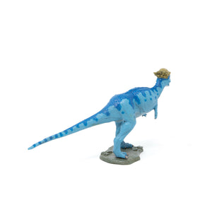 Favorite｜パキケファロサウルス ソフトモデル｜ソフト素材を使用した