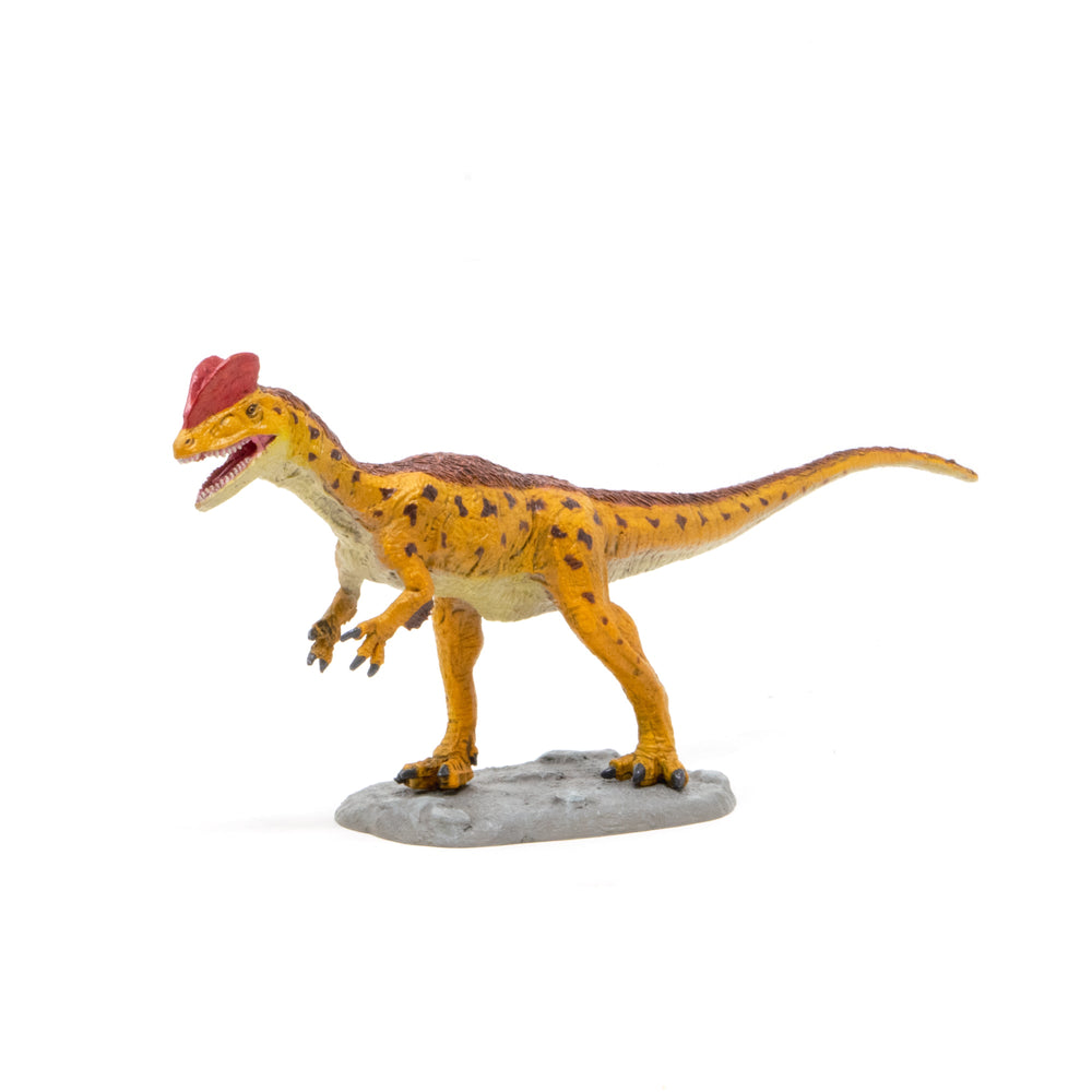 Favorite｜ディロフォサウルス ソフトモデル｜ソフト素材を使用した