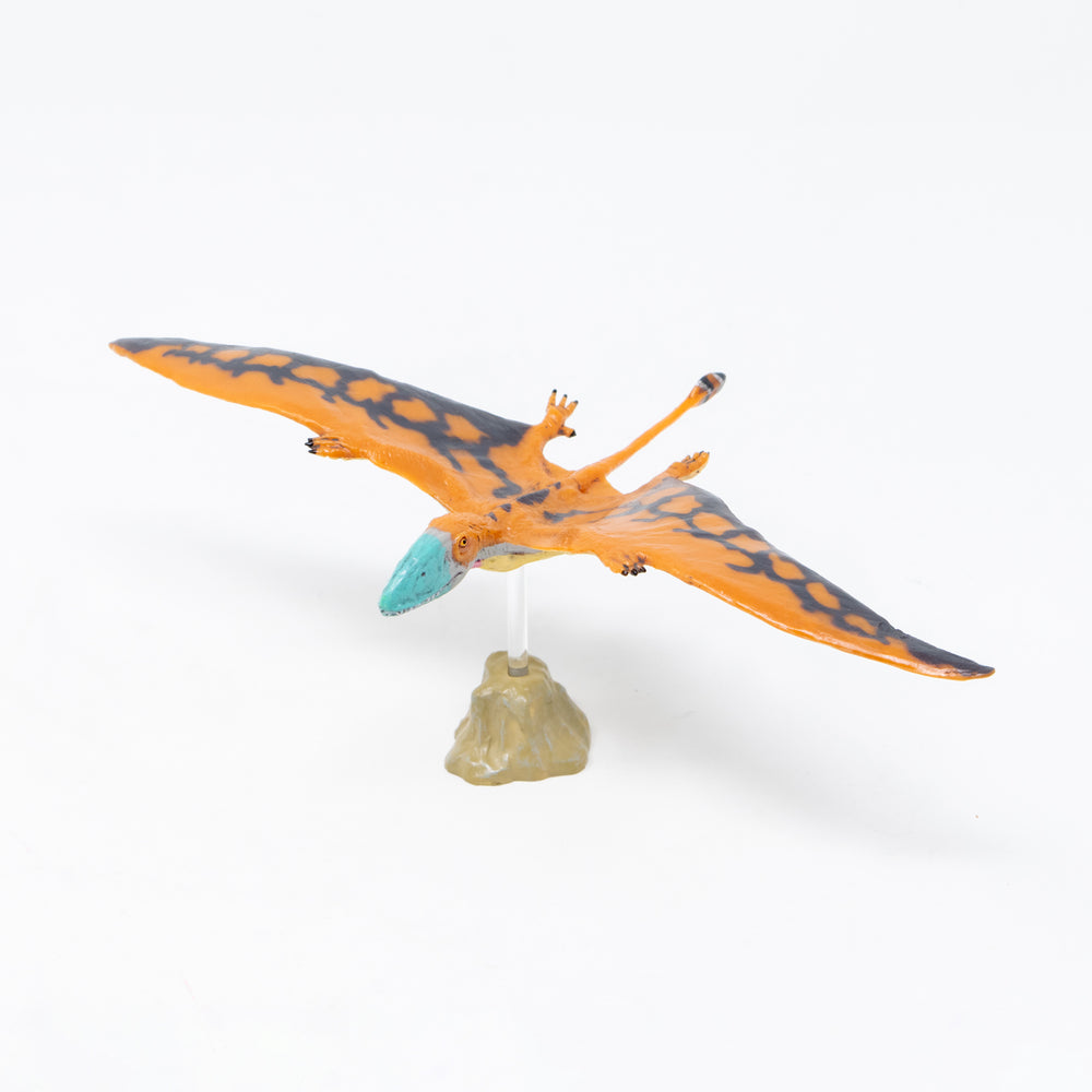Favorite|ディモルフォドン ソフトモデル|ソフト素材を使用した