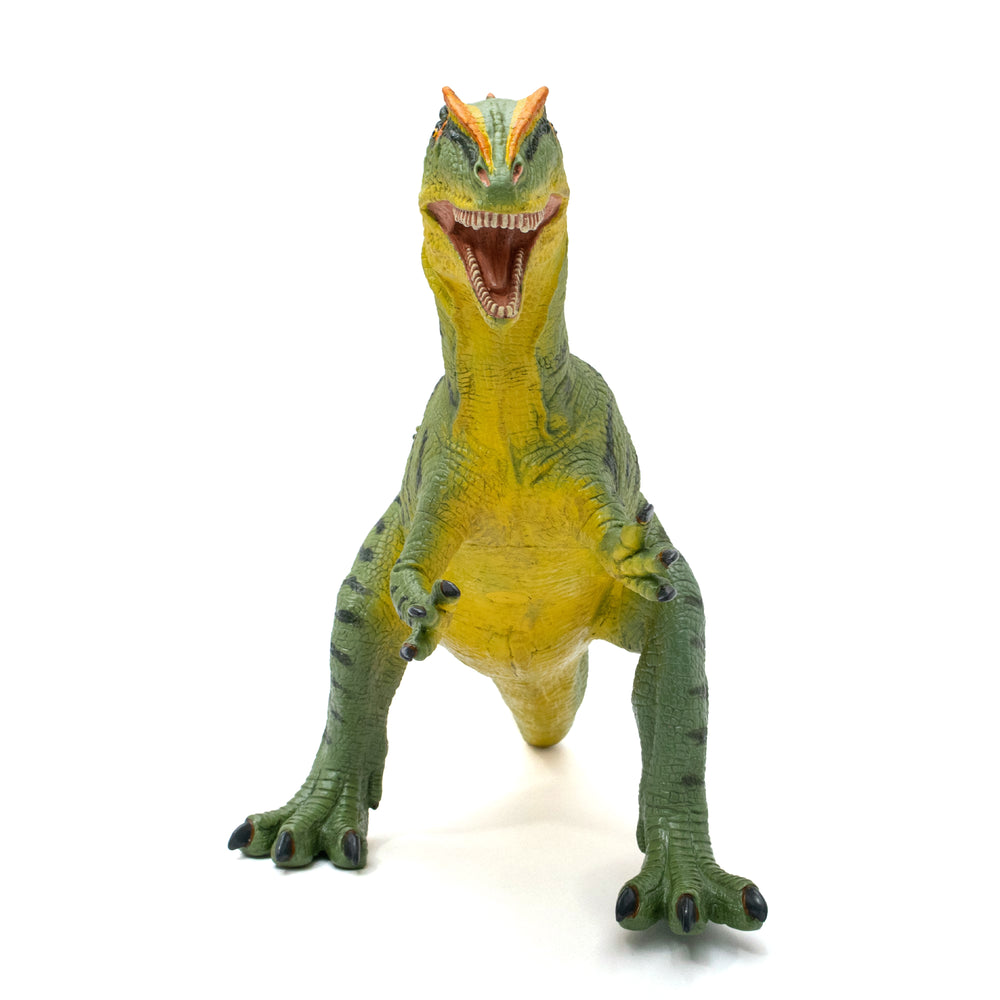 Favorite｜アロサウルス ビニールモデル プレミアムエディション｜愛嬌
