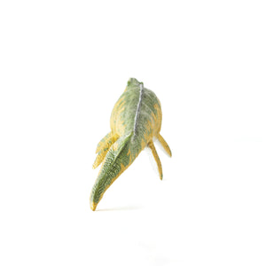 Dinosaur Soft Model Box_02 – Favorite official website