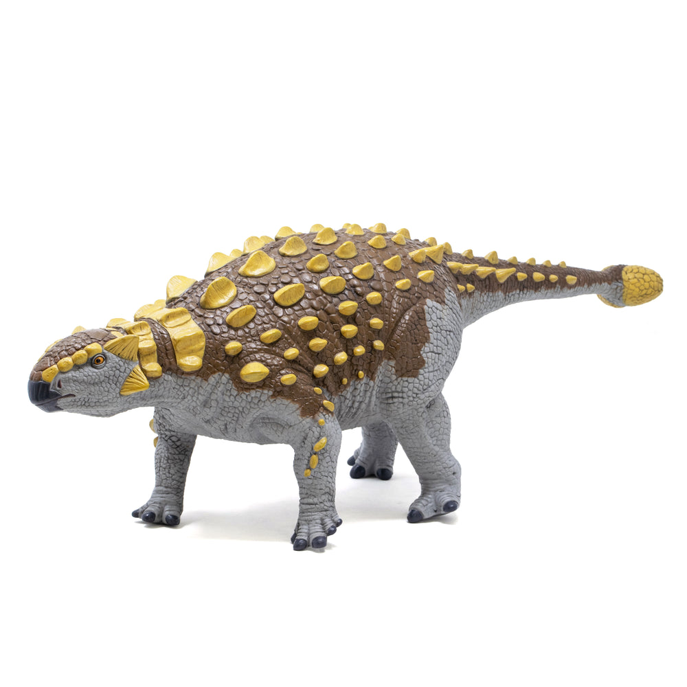 Favorite｜アンキロサウルス ビニールモデル プレミアムエディション