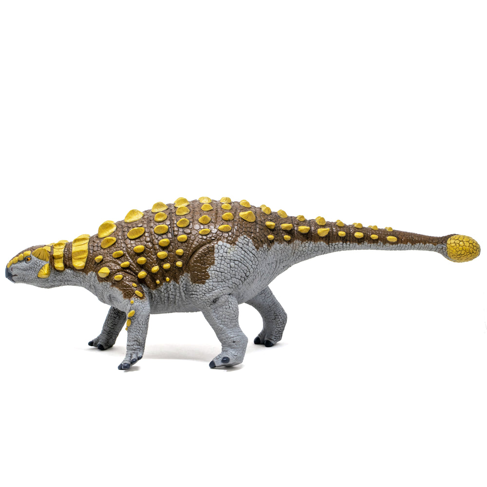 Favorite｜アンキロサウルス ビニールモデル プレミアムエディション