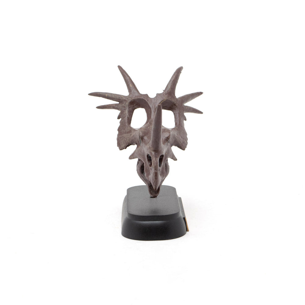 Styracosaurus Skull Mini Model – Favorite official website