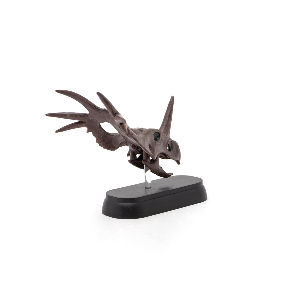 Styracosaurus Skull Mini Model – Favorite official website