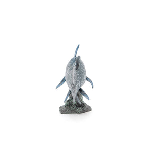 Coelacanth Soft Model – Favorite official website