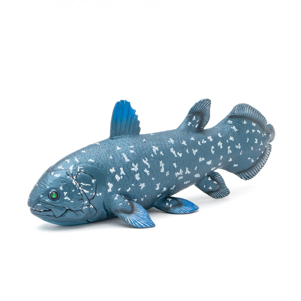 Coelacanthシーラカンス SWIM STANCE CHANGE 2枚 Coelacanth Vinyl Model – Favorite official website