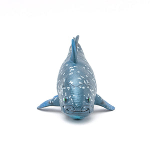 Coelacanth Vinyl Model – Favorite official website
