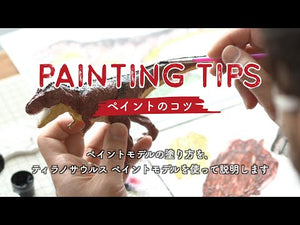 
                  
                    Load and play video in Gallery viewer, Tyrannosaurus Paint Model
                  
                