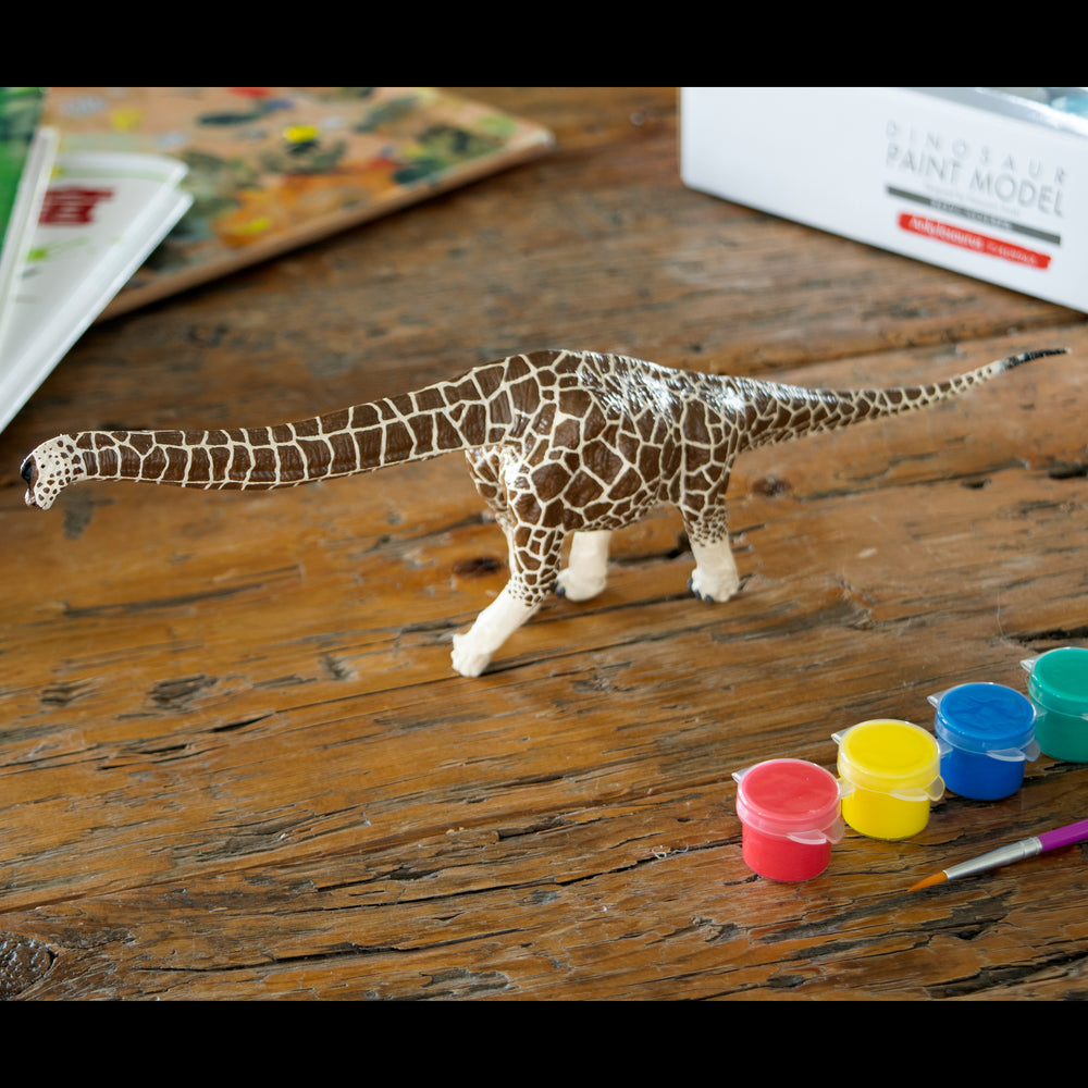 
                  
                    Load image into Gallery viewer, Brachiosaurus Paint Model
                  
                
