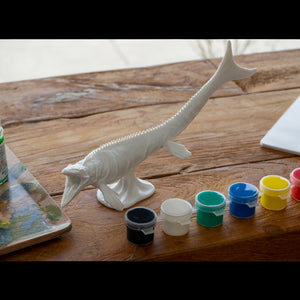 
                  
                    Load image into Gallery viewer, Mosasaurus Paint Model
                  
                