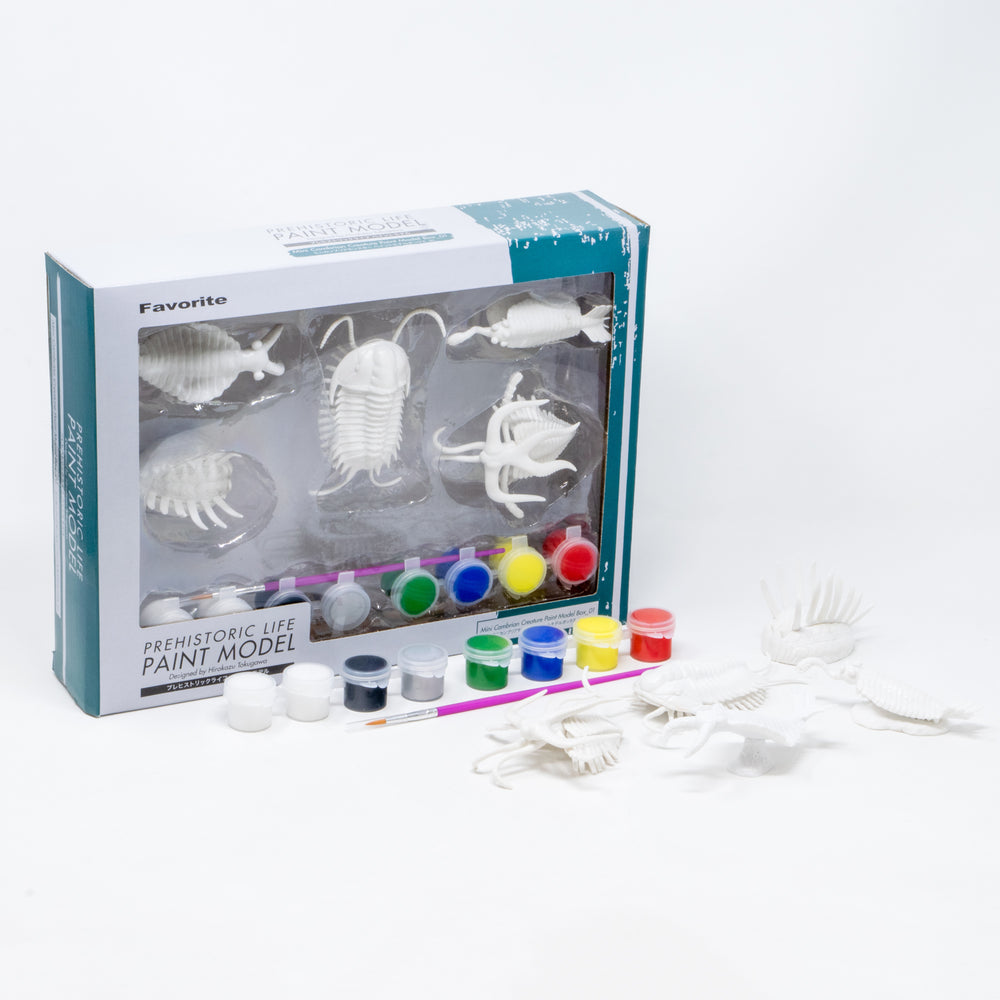 Mini Cambrian Creature Paint Model Box_01