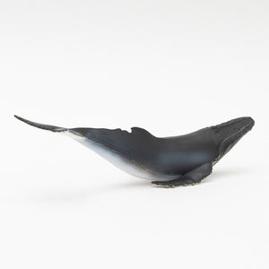
                  
                    Load image into Gallery viewer, Humpback Whale Soft Model
                  
                