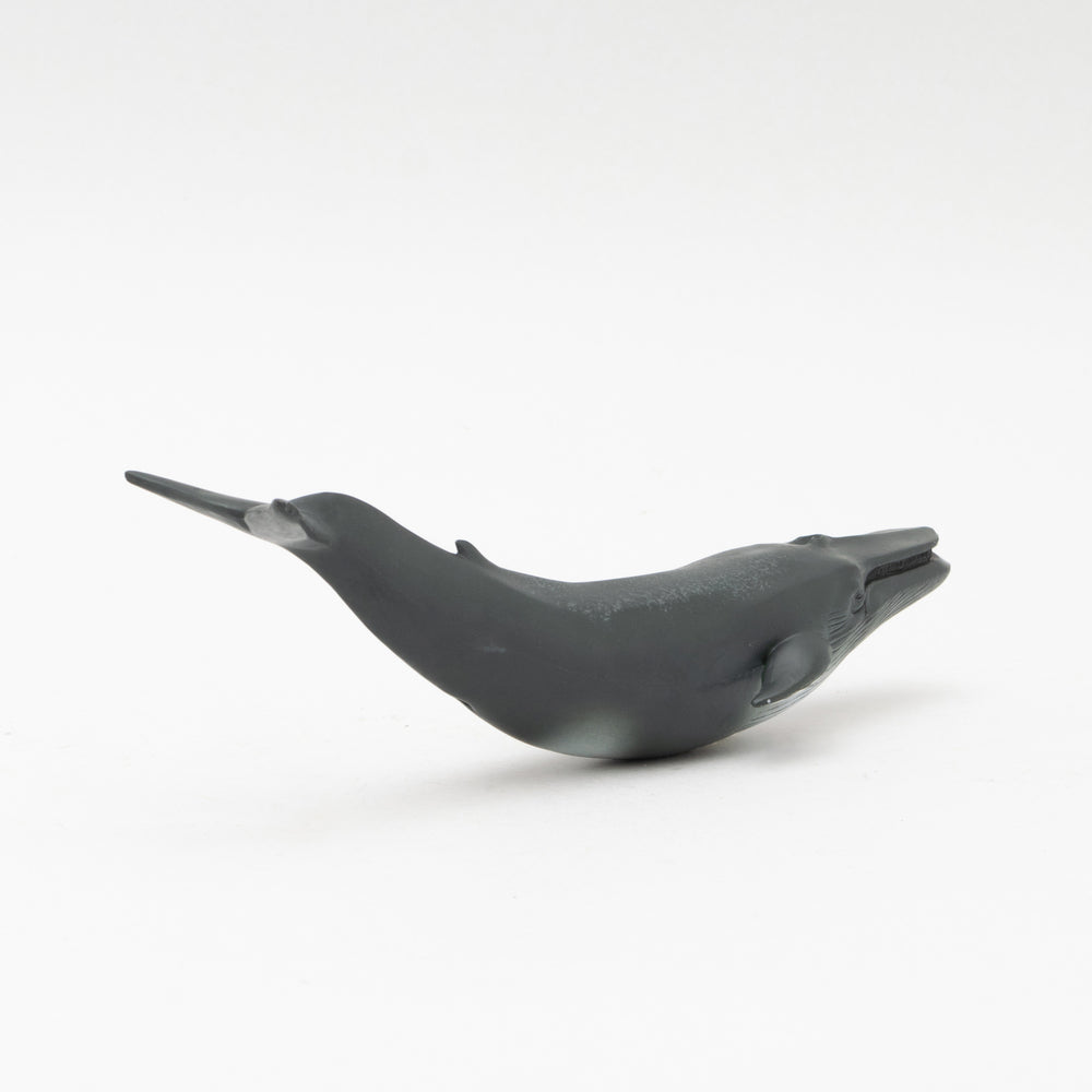 
                  
                    Load image into Gallery viewer, Blue Whale Soft Model
                  
                