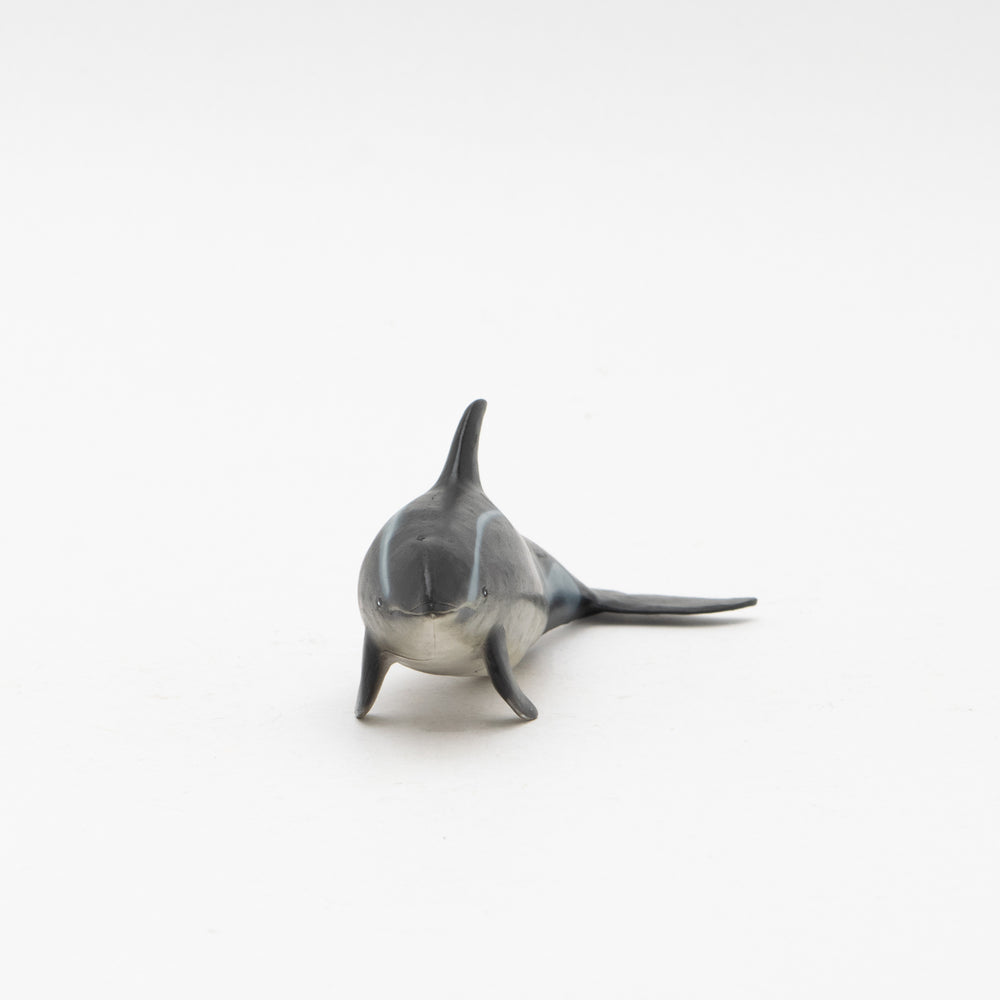 
                  
                    Load image into Gallery viewer, Pacific White-sided Dolphin Soft Model
                  
                